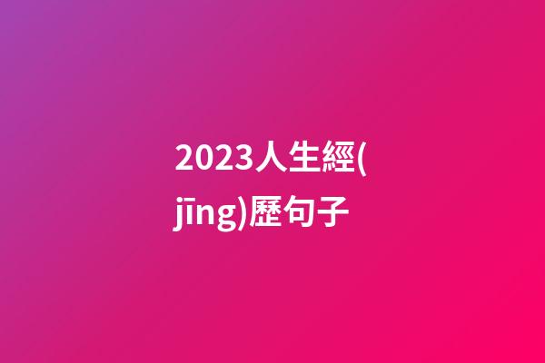 2023人生經(jīng)歷句子