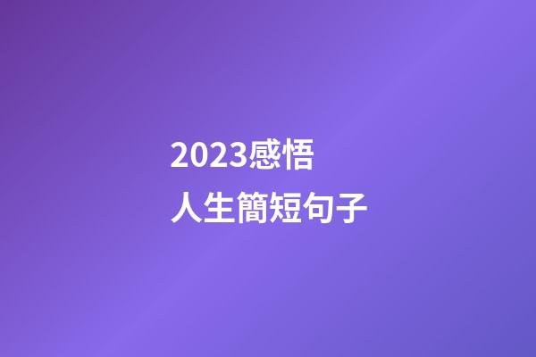 2023感悟人生簡短句子