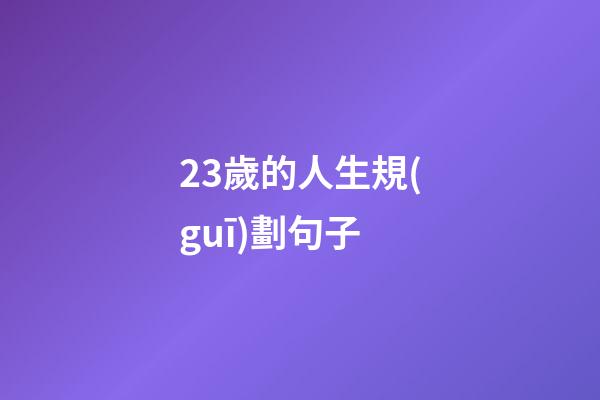 23歲的人生規(guī)劃句子