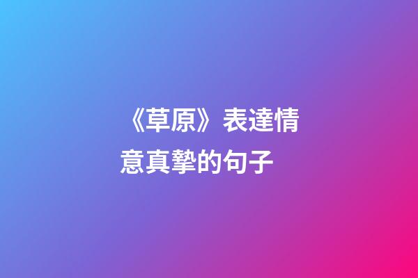 《草原》表達情意真摯的句子
