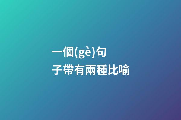 一個(gè)句子帶有兩種比喻