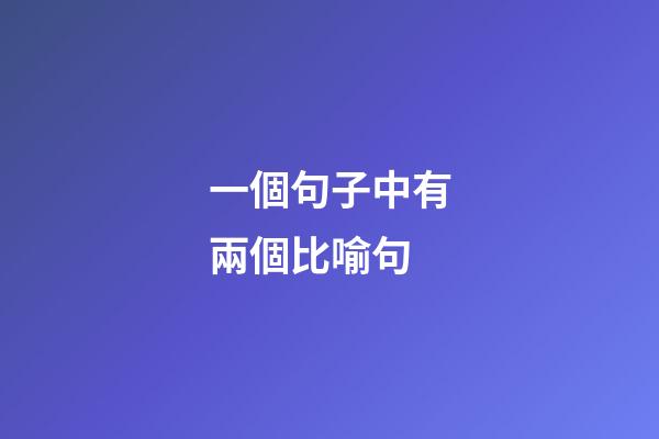 一個句子中有兩個比喻句