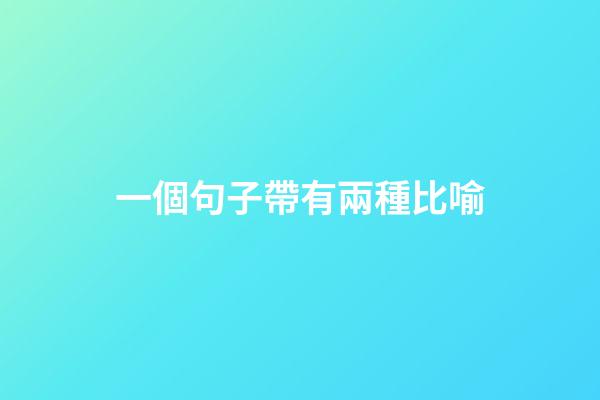 一個句子帶有兩種比喻