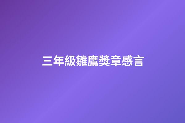 三年級雛鷹獎章感言