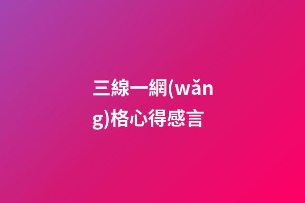 三線一網(wǎng)格心得感言