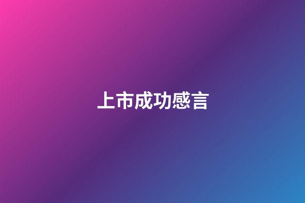 上市成功感言