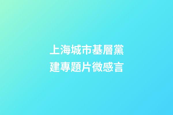 上海城市基層黨建專題片微感言