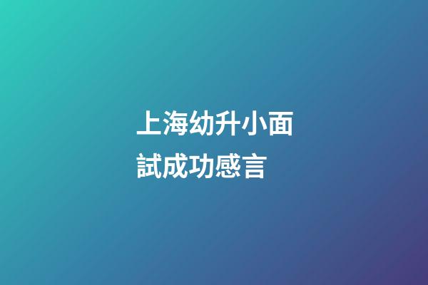 上海幼升小面試成功感言