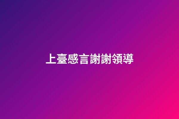 上臺感言謝謝領導