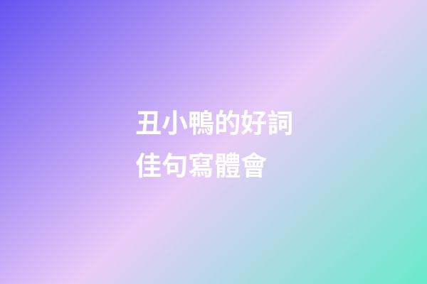 丑小鴨的好詞佳句寫體會