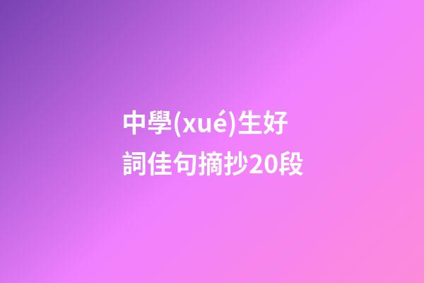 中學(xué)生好詞佳句摘抄20段