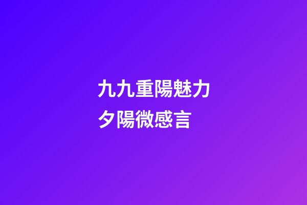 九九重陽魅力夕陽微感言