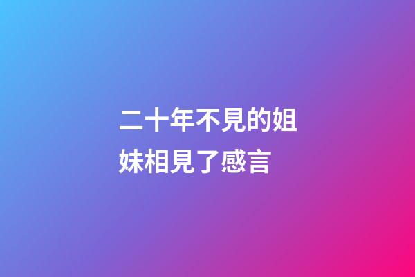 二十年不見的姐妹相見了感言