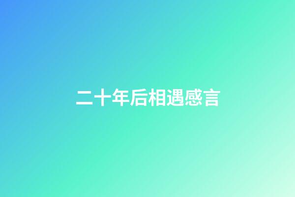 二十年后相遇感言