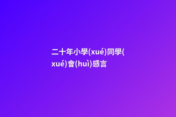 二十年小學(xué)同學(xué)會(huì)感言
