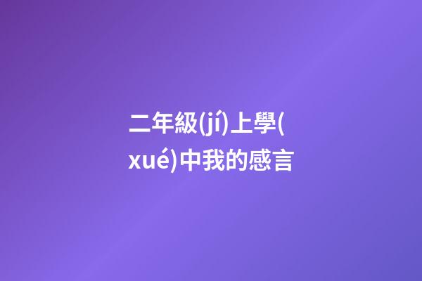二年級(jí)上學(xué)中我的感言