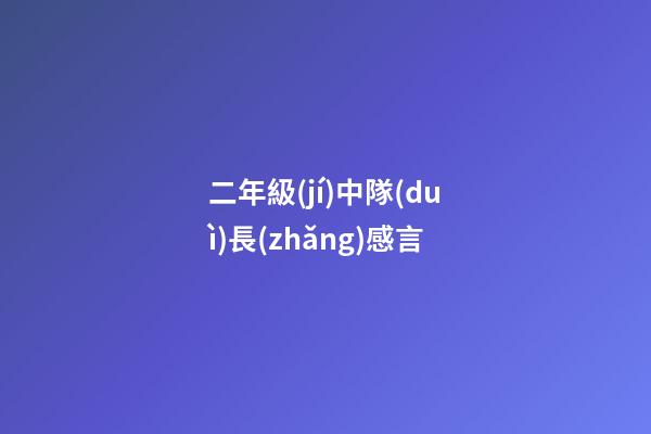二年級(jí)中隊(duì)長(zhǎng)感言
