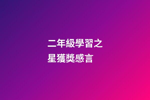 二年級學習之星獲獎感言