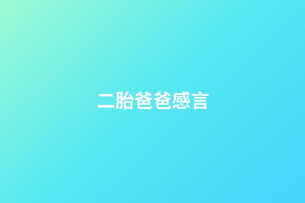 二胎爸爸感言