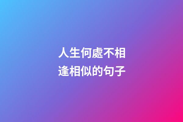 人生何處不相逢相似的句子