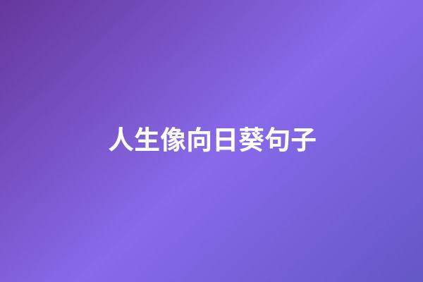 人生像向日葵句子