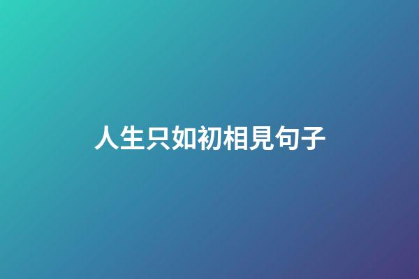 人生只如初相見句子