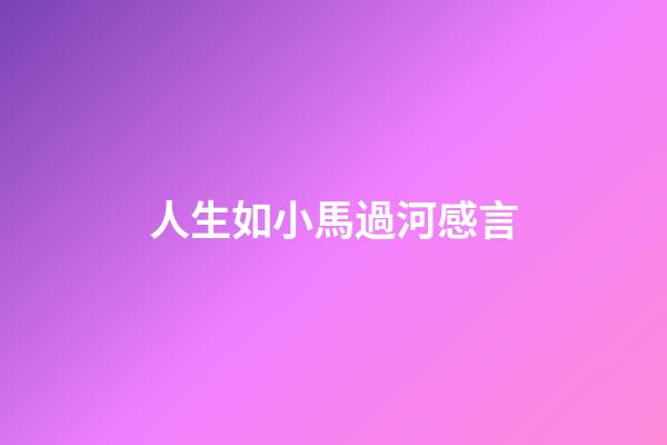 人生如小馬過河感言