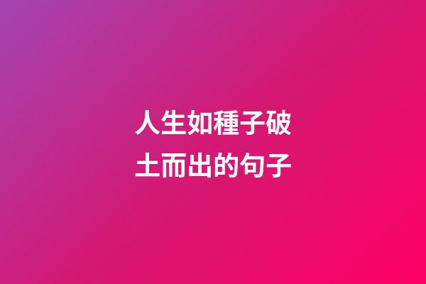人生如種子破土而出的句子