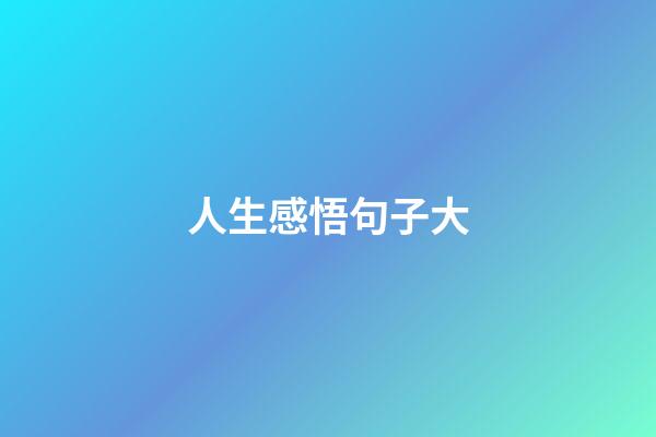 人生感悟句子大