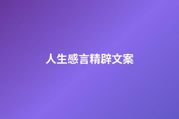 人生感言精辟文案
