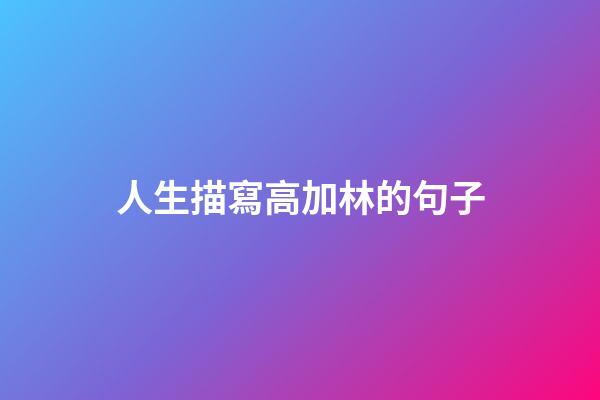 人生描寫高加林的句子