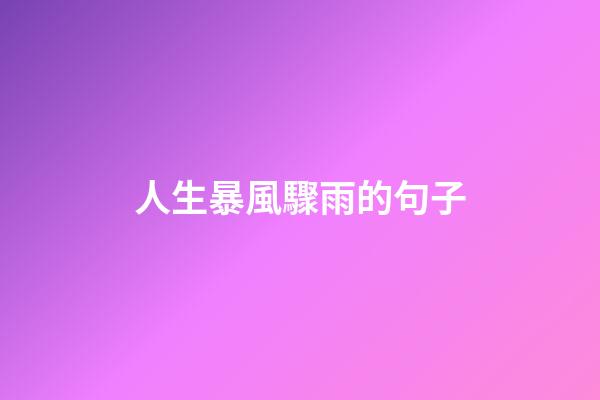 人生暴風驟雨的句子