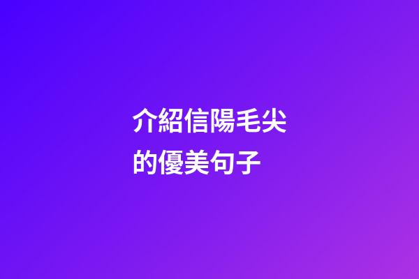 介紹信陽毛尖的優美句子