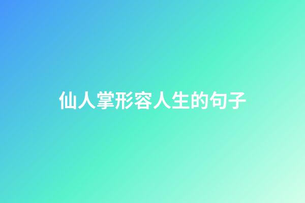 仙人掌形容人生的句子