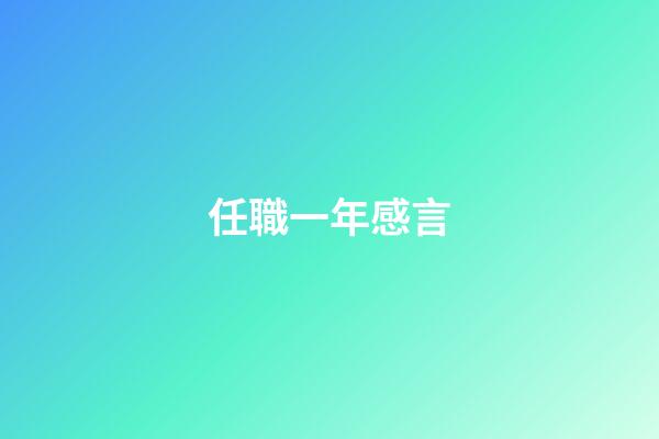 任職一年感言