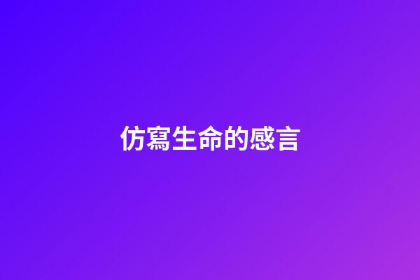 仿寫生命的感言