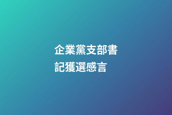 企業黨支部書記獲選感言