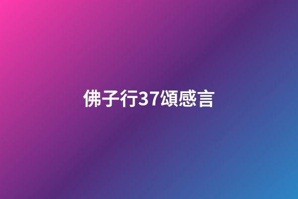 佛子行37頌感言