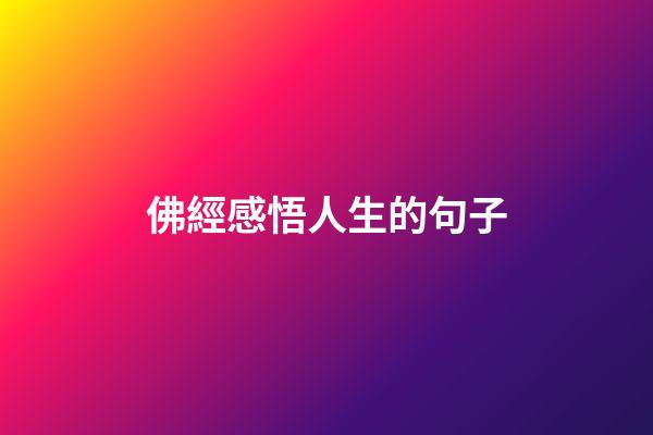 佛經感悟人生的句子