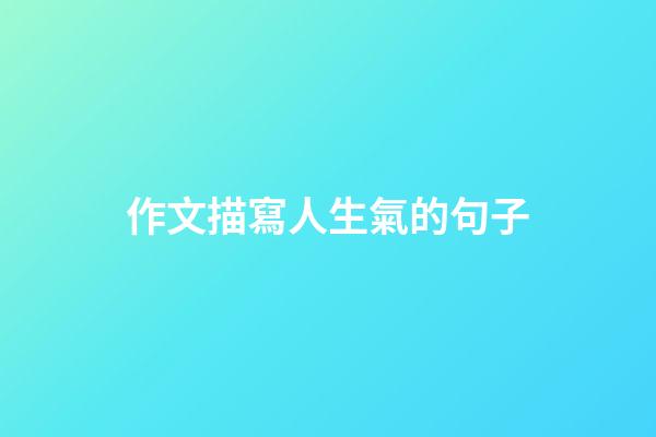 作文描寫人生氣的句子