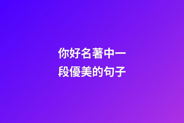 你好名著中一段優美的句子