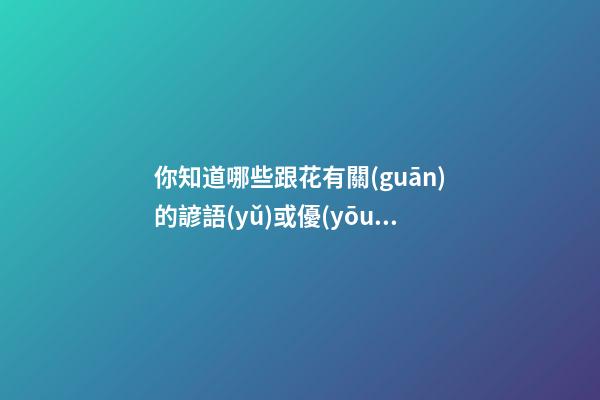 你知道哪些跟花有關(guān)的諺語(yǔ)或優(yōu)美的句子