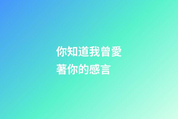 你知道我曾愛著你的感言