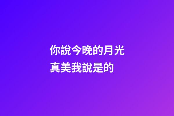 你說今晚的月光真美我說是的