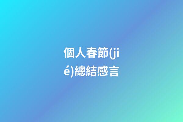 個人春節(jié)總結感言