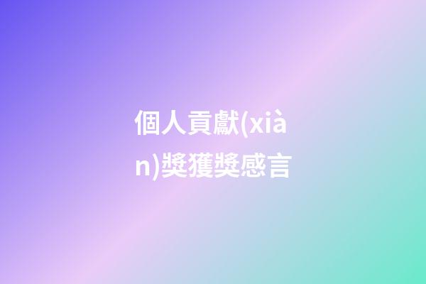 個人貢獻(xiàn)獎獲獎感言