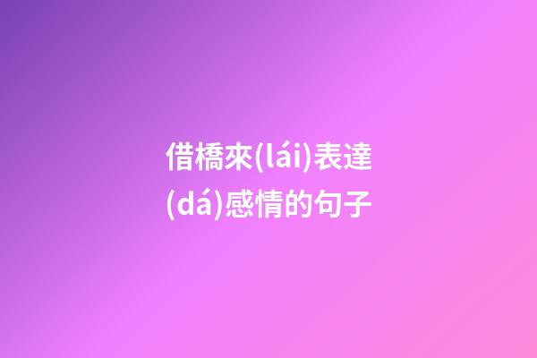 借橋來(lái)表達(dá)感情的句子