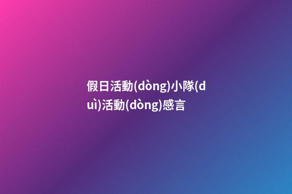 假日活動(dòng)小隊(duì)活動(dòng)感言