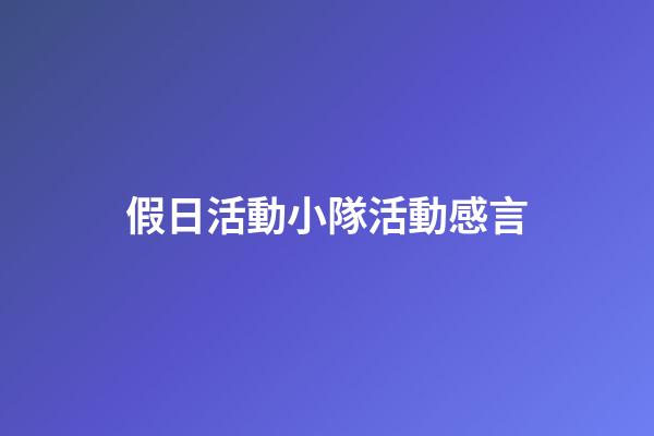 假日活動小隊活動感言