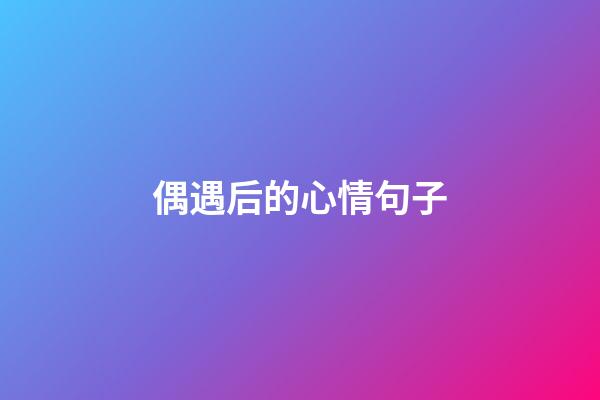 偶遇后的心情句子